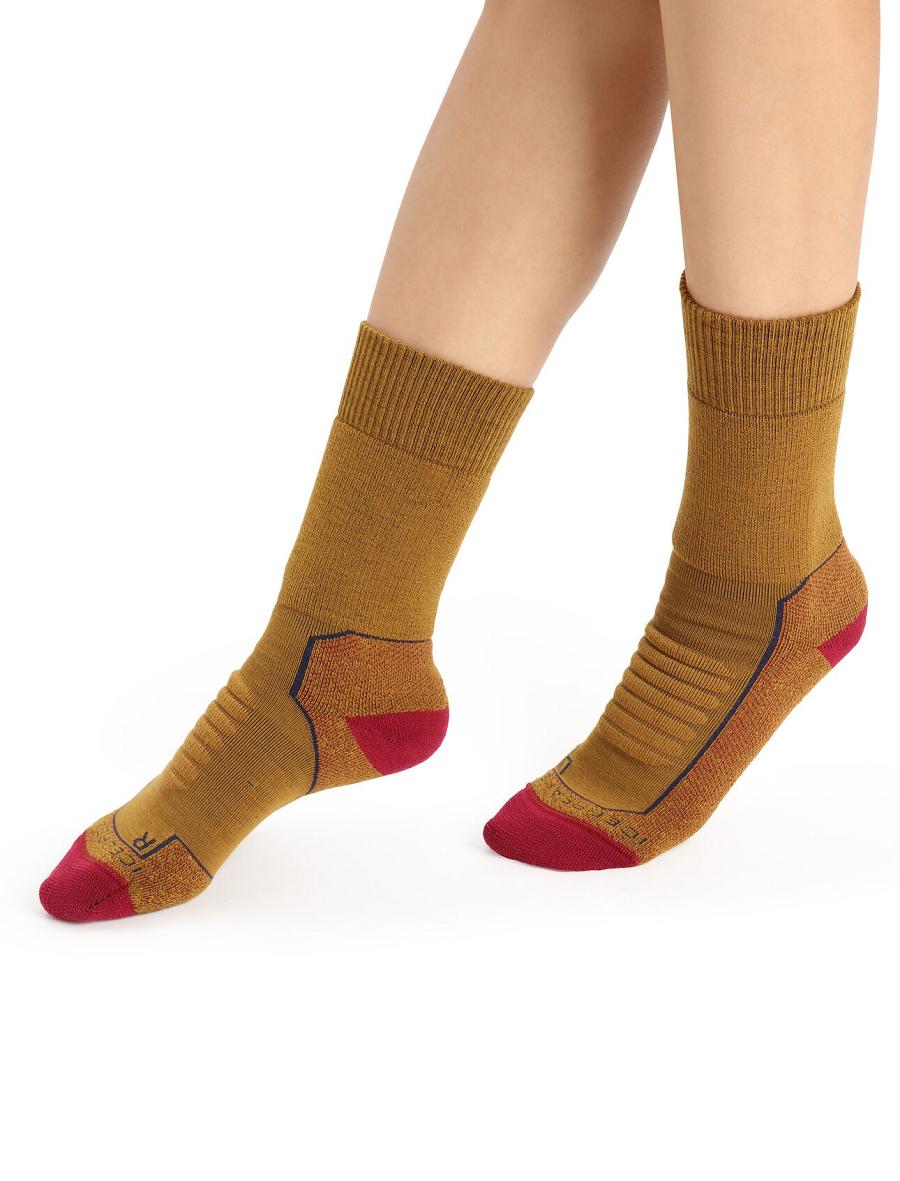 Women\'s Icebreaker Merino Hike+ Heavy Crew Socks Clove / Cherry | CA 1499NWYB